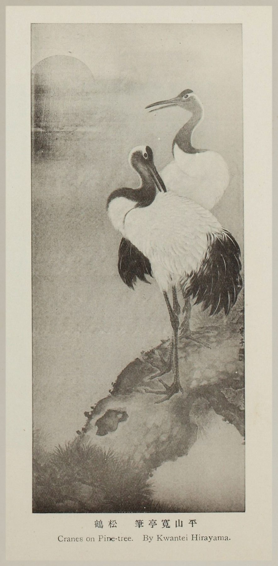 平山寛亭『松鶴』— 美術画報 明治39年3月号掲載